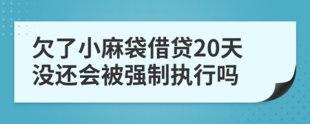 欠了小麻袋借贷20天没还会被强制执行吗