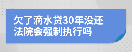 欠了滴水贷30年没还法院会强制执行吗