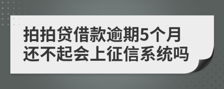 拍拍贷借款逾期5个月还不起会上征信系统吗