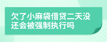 欠了小麻袋借贷二天没还会被强制执行吗