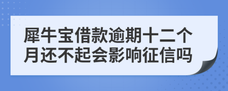 犀牛宝借款逾期十二个月还不起会影响征信吗