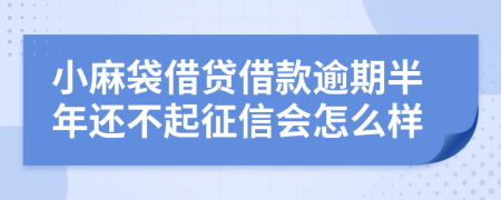 小麻袋借贷借款逾期半年还不起征信会怎么样