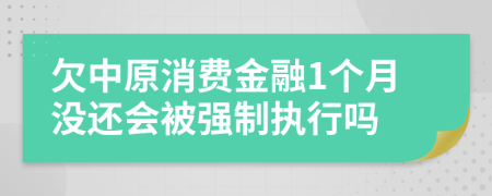 欠中原消费金融1个月没还会被强制执行吗