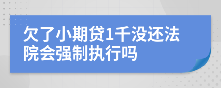 欠了小期贷1千没还法院会强制执行吗