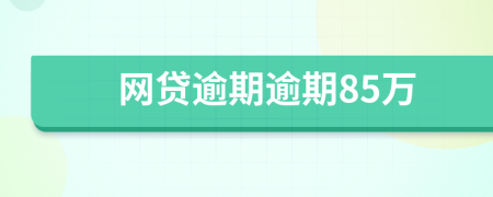 网贷逾期逾期85万