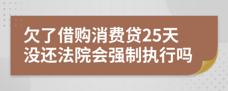 欠了借购消费贷25天没还法院会强制执行吗