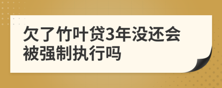 欠了竹叶贷3年没还会被强制执行吗