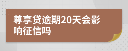 尊享贷逾期20天会影响征信吗