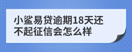 小鲨易贷逾期18天还不起征信会怎么样