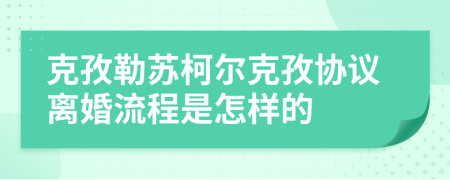 克孜勒苏柯尔克孜协议离婚流程是怎样的