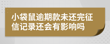 小袋鼠逾期款未还完征信记录还会有影响吗