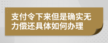 支付令下来但是确实无力偿还具体如何办理