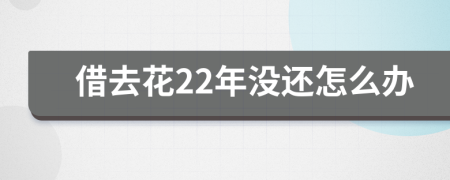 借去花22年没还怎么办