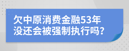 欠中原消费金融53年没还会被强制执行吗？