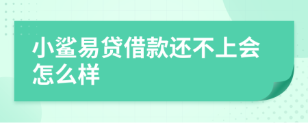 小鲨易贷借款还不上会怎么样