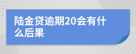 陆金贷逾期20会有什么后果