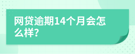 网贷逾期14个月会怎么样？