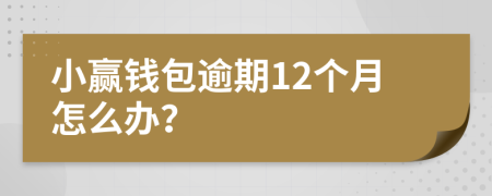 小赢钱包逾期12个月怎么办？