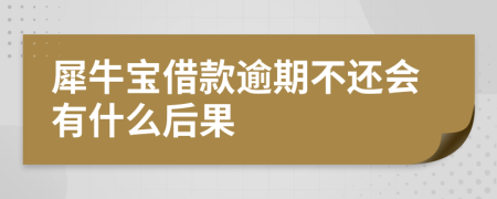 犀牛宝借款逾期不还会有什么后果