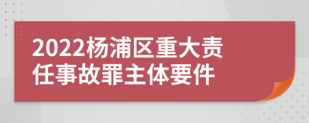 2022杨浦区重大责任事故罪主体要件