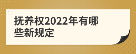 抚养权2022年有哪些新规定