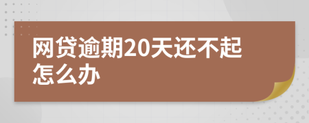 网贷逾期20天还不起怎么办