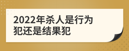 2022年杀人是行为犯还是结果犯