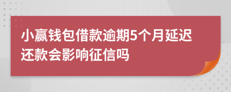 小赢钱包借款逾期5个月延迟还款会影响征信吗