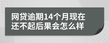 网贷逾期14个月现在还不起后果会怎么样