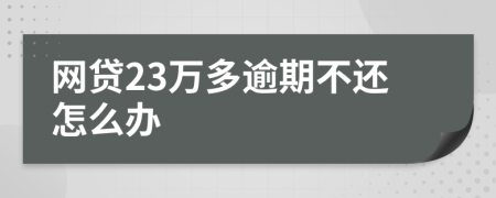 网贷23万多逾期不还怎么办