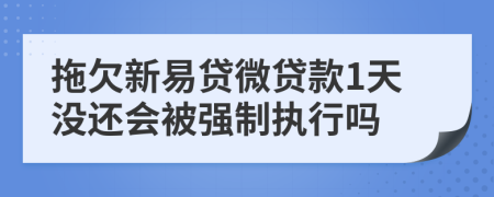 拖欠新易贷微贷款1天没还会被强制执行吗