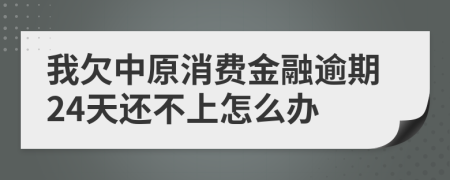 我欠中原消费金融逾期24天还不上怎么办