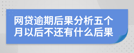 网贷逾期后果分析五个月以后不还有什么后果