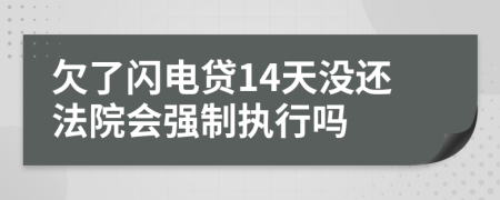 欠了闪电贷14天没还法院会强制执行吗