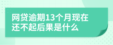 网贷逾期13个月现在还不起后果是什么