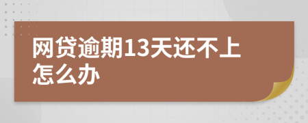 网贷逾期13天还不上怎么办