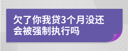 欠了你我贷3个月没还会被强制执行吗