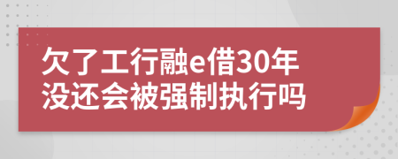 欠了工行融e借30年没还会被强制执行吗