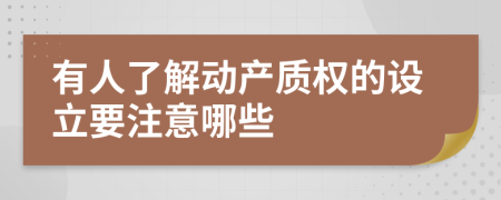 有人了解动产质权的设立要注意哪些