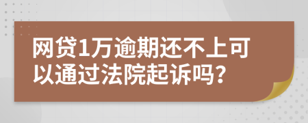网贷1万逾期还不上可以通过法院起诉吗？