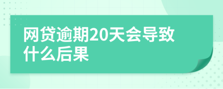 网贷逾期20天会导致什么后果