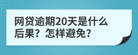 网贷逾期20天是什么后果？怎样避免？