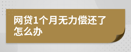网贷1个月无力偿还了怎么办
