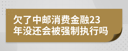 欠了中邮消费金融23年没还会被强制执行吗