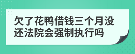 欠了花鸭借钱三个月没还法院会强制执行吗