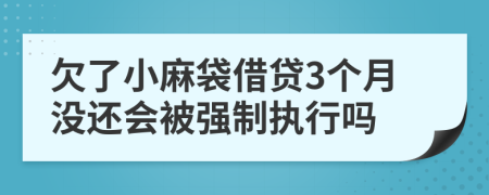 欠了小麻袋借贷3个月没还会被强制执行吗