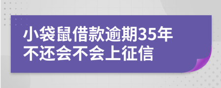 小袋鼠借款逾期35年不还会不会上征信