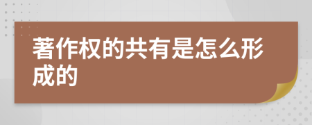 著作权的共有是怎么形成的