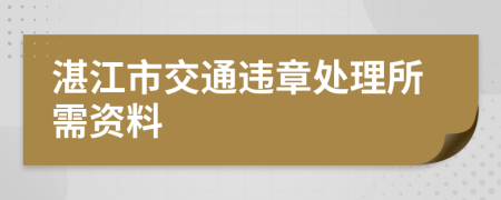 湛江市交通违章处理所需资料