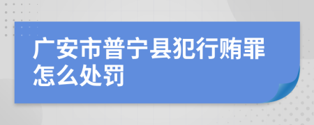 广安市普宁县犯行贿罪怎么处罚